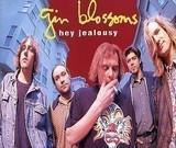 Gin Blossoms lyrics of all songs