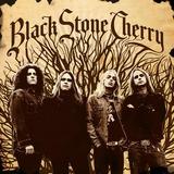Black Stone Cherry lyrics of all songs