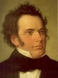 Franz Schubert lyrics