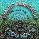 1200 Mics - Unknown song lyrics
