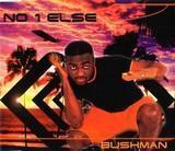 Bushman lyrics of all songs.