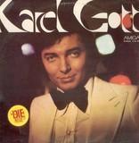 Karel Gott lyrics of all songs.